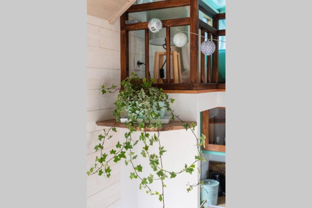 ドル・デ・ブルターニュ Tiny House En Baie Du Mont-Saint-Michelヴィラ エクステリア 写真